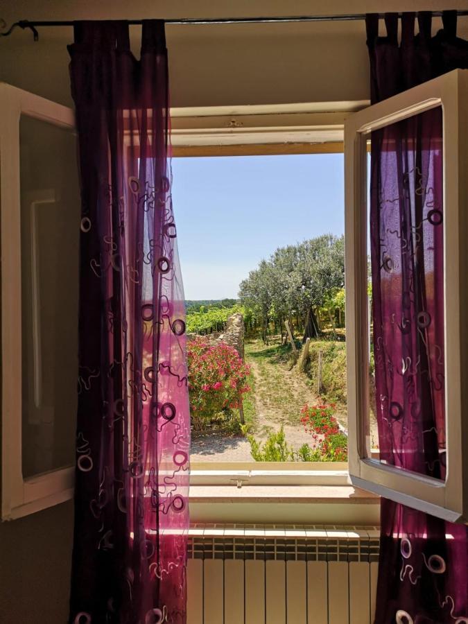 B&B Stella Dell'Adriatico Ortona Kültér fotó