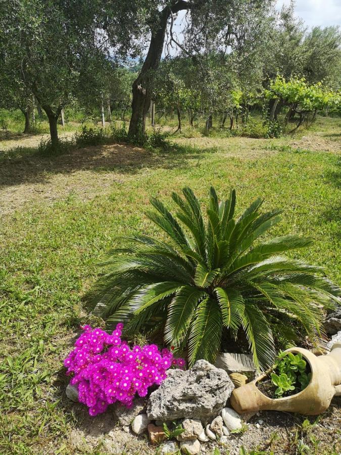 B&B Stella Dell'Adriatico Ortona Kültér fotó