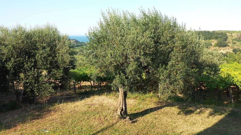B&B Stella Dell'Adriatico Ortona Kültér fotó