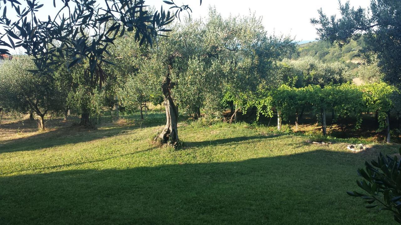 B&B Stella Dell'Adriatico Ortona Kültér fotó